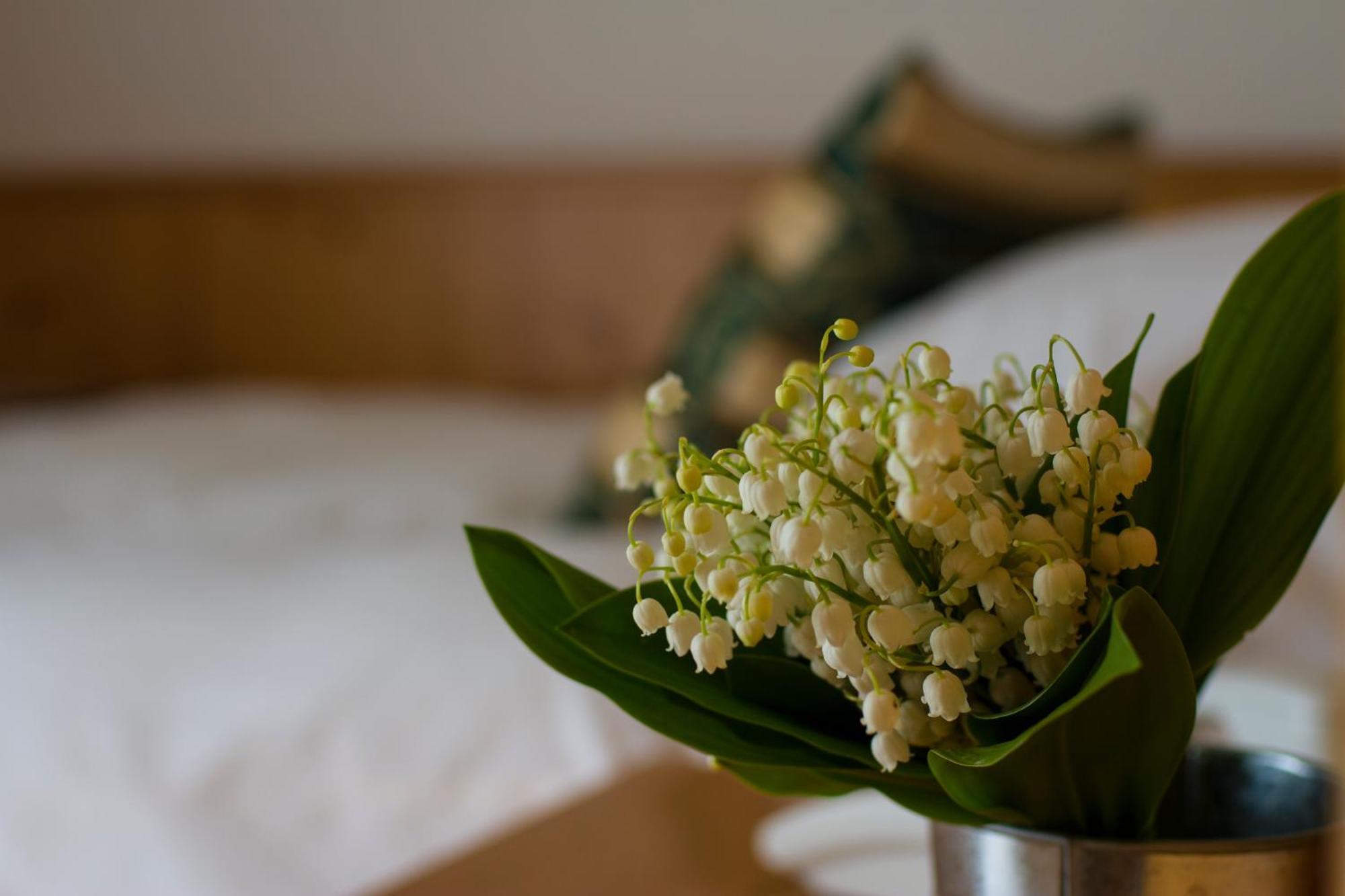 Hotel Chalet All'Imperatore